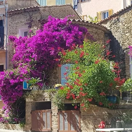 Maison De Medievale Village * Борм-ле-Мимоза