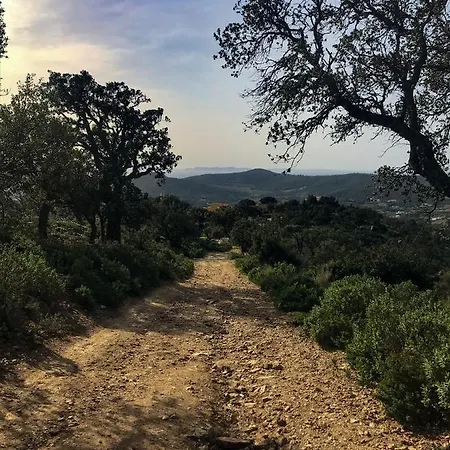Apartment Maison De Medievale Village