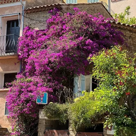 Maison De Medievale Village